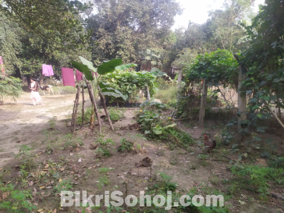 ৩.৮৬শতাংশ আবাসিক জমি বিক্রয় – চিনিশপুর, নরসিংদী